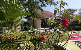 Gîte L'Albizia 3 épis